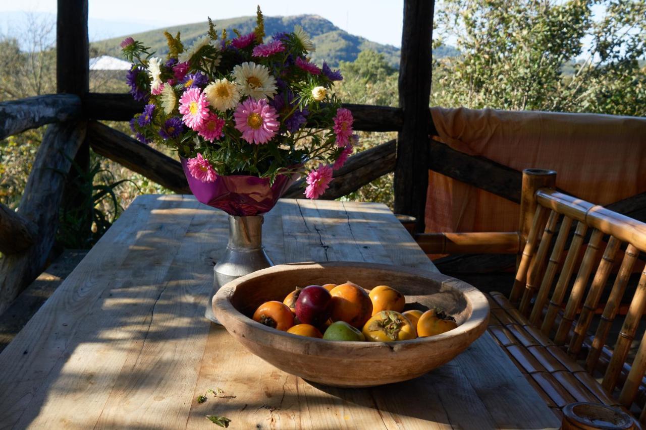Agro Guesthouse Korena クタイシ エクステリア 写真