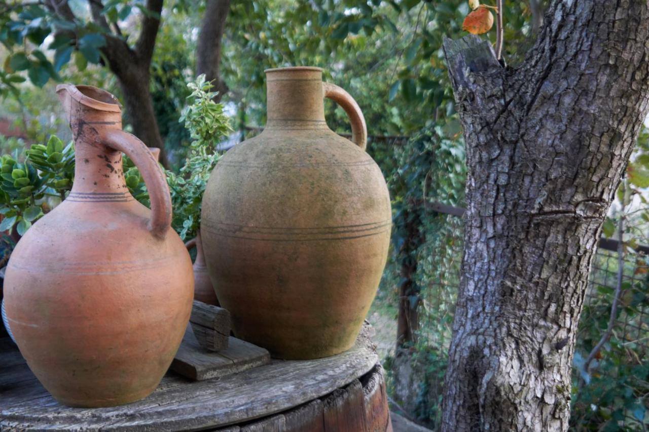 Agro Guesthouse Korena クタイシ エクステリア 写真